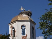 Ciconia ciconia 110, Ooievaar, Saxifraga-Harry Jans  stork nest on church : Animals