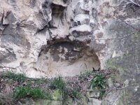 Bubo bubo 30, Oehoe, Saxifraga-Mark Zekhuis