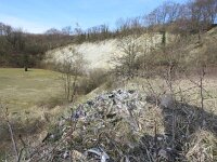 Bubo bubo 39, Oehoe, Saxifraga-Mark Zekhuis