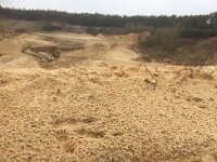 Bubo bubo 40, Oehoe, print, Saxifraga-Mark Zekhuis