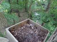 Bubo bubo 6, Oehoe, Saxifraga-Mark Zekhuis