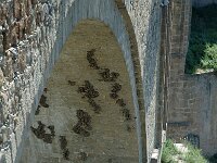 Delichon urbica 3, Huiszwaluw, nests, Saxifraga-Jan van der Straaten