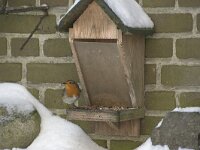Erithacus rubecula 149, Roodborst, Saxifraga-Willem van Kruijsbergen