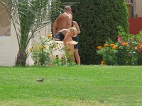 Jynx torquilla 6, Draaihals, Saxifraga-Mark Zekhuis