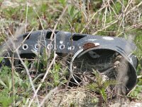 Motacilla alba 14, Witte kwikstaart, Saxifraga-Mark Zekhuis