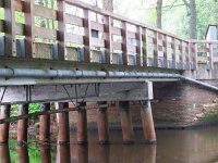 Motacilla cinerea 30, Grote gele kwikstaart, nest, Saxifraga-Henk Sierdsema