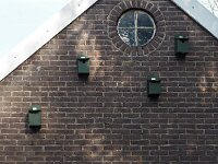 Passer domesticus 47, Huismus, Saxifraga-Hans Dekker