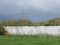 Riparia riparia 20, Oeverzwaluw, Saxifraga-Mark Zekhuis