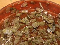 Heteranomia squamula 3, Schilferige dekschelp, Saxifraga-Foto Fitis-Sytske Dijksen