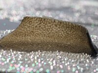 Euspira catena 2, Grote tepelhoren, eggs, Saxifraga-Foto Fitis-Sytske Dijksen