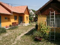 Carcharodus alceae 4, Kaasjeskruiddikkopje, habitat, Vlinderstichting-Kars Veling