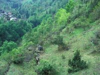 Satyrus ferula 14, Grote saterzandoog, habitat, I, Aosta, Pondel, Vlinderstichting-Kars Veling