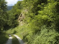 Speyeria aglaja 8, Grote parelmoervlinder, habitat, F, Isere, Miribel-Lanchatre, Saxifraga-Marijke Verhagen
