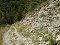 Brintesia circe 2, Witbandzandoog, habitat, F, Drome, Treschenu Creyers, Col de Menee, Saxifraga-Marijke Verhagen