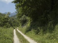 Limenitis populi 5, Grote ijsvogelvlinder, habitat, F, Isere, Miribel-Lanchatre, Saxifraga-Marijke Verhagen