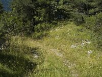 Maculinea arion 2, Tijmblauwtje, habitat, F, Isere, Gresse-en-Vercors, Saxifraga-Jan van der Straaten