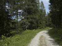 Melitaea aurelia 12, Steppeparelmoervlinder, habitat, F, Isere, Gresse-en-Vercors, Saxifraga-Jan van der Straaten