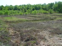 Pyrgus malvae 8, Aardbeivlinder, habitat, Vlinderstichting-Henk Bosma