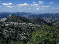 Tomares ballus, Provence Hairstreak