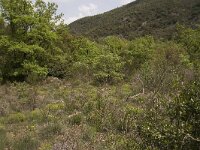 Zerynthia rumina 4, Spaanse pijpbloemvlinder, habitat, Vlinderstichting-Kars Veling