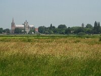 NL, Noord-Brabant, 's Hertogenbosch, Bossche broek 24, Saxifraga-Willem van Kruijsbergen