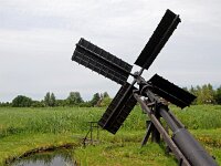 NL, Overijssel, Steenwijkerland, Weerribben 23, Saxifraga-Hans Dekker