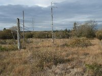 B, Liege, Eupen, Brackvenn 30, Saxifraga-Willem van Kruijsbergen