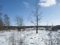 B, Liege, Eupen, Im Platten Venn 60, Saxifraga-Willem van Kruijsbergen