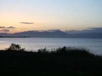 GR, Evros, Alexandroupolis, Evros Delta 1, Saxifraga-Dirk Hilbers