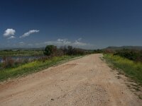 GR, Evros, Alexandroupolis, Evros Delta 12, Saxifraga-Dirk Hilbers