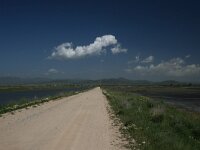 GR, Evros, Alexandroupolis, Evros Delta 15, Saxifraga-Dirk Hilbers