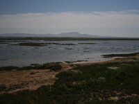 GR, Evros, Alexandroupolis, Evros Delta 17, Saxifraga-Dirk Hilbers