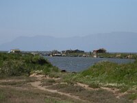 GR, Evros, Alexandroupolis, Evros Delta 18, Saxifraga-Dirk Hilbers