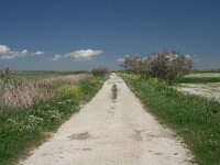 GR, Evros, Alexandroupolis, Evros Delta 30, Saxifraga-Dirk Hilbers