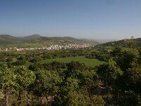 GR, Evros, Alexandroupolis, Evros Delta 33, Saxifraga-Dirk Hilbers