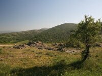 GR, Evros, Alexandroupolis, Evros Delta 35, Saxifraga-Dirk Hilbers