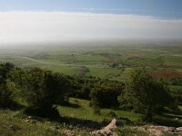 GR, Evros, Alexandroupolis, Evros Delta 36, Saxifraga-Dirk Hilbers