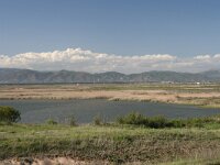 GR, Evros, Alexandroupolis, Evros Delta 42, Saxifraga-Dirk Hilbers