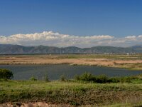 GR, Evros, Alexandroupolis, Evros Delta 43, Saxifraga-Dirk Hilbers