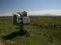 GR, Evros, Alexandroupolis, Evros Delta 8, Saxifraga-Dirk Hilbers