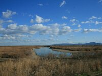 GR, Evros, Evros Delta 1, Saxifraga-Dirk Hilbers