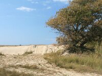 GR, Kavala, Nestos 10, Saxifraga-Dirk Hilbers