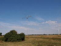 NL, Zuid-Holland, Goeree-Overflakkee, Westduinen 1, Saxifraga-Hans Dekker