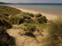 GB, Cornwall, Hayle 4, Saxifraga-Foto Fitis- Sytske Dijksen