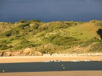 GB, Cornwall, St Minver, Rock 5, Saxifraga-Foto Fitis- Sytske Dijksen