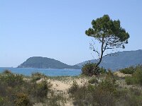 GR, Zakynthos, Zakynthos, Kalamaki dunes 2, Saxifraga-Theo Verstrael