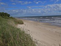 LV, Kurzeme, Rucava, Dabas parks Pape 12, Saxifraga-Hans Boll