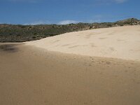 P, Faro, Aljezur, Carrapateira, Praia da Bordeira 15, Saxifraga-Willem van Kruijsbergen