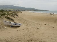 E, Cadiz, Tarifa, Bolonia 10, Saxifraga-Jan van der Straaten