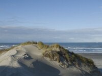 NL, Friesland, Terschelling, Boschplaat 16, Saxifraga-Jan van der Straaten